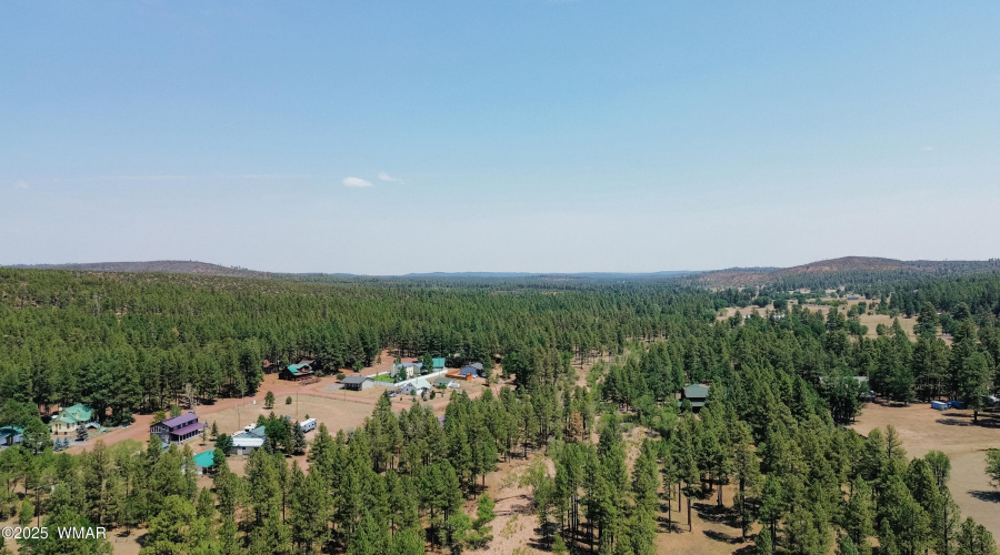 Surrounded by Forest