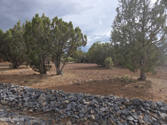 1936 Passage Drive, Show Low, Arizona 85901, ,Land,For Sale,Passage,257162
