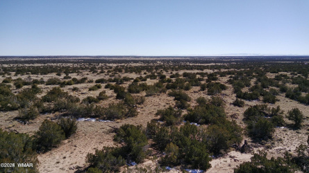 004B N7411, St. Johns, Arizona 85936, ,Land,For Sale,N7411,257158
