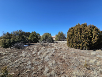 1968 Ridgeway Road, Show Low, Arizona 85901, ,Land,For Sale,Ridgeway,257157