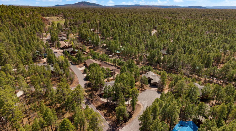6229TontoTrail-Pinetop-AZ-9