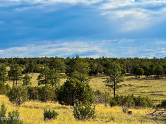 TBD Flake RD 5.08 Acres, Aripine, Arizona 85933, ,Land,For Sale,Flake RD 5.08 Acres,257167