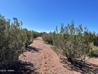 TBD Falcon Drive, Taylor, Arizona 85939, ,Land,For Sale,Falcon,248517
