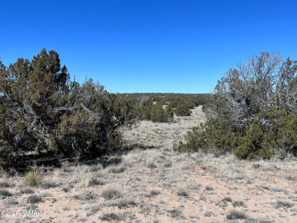 004A N7204, St. Johns, Arizona 85936, ,Land,For Sale,N7204,257169