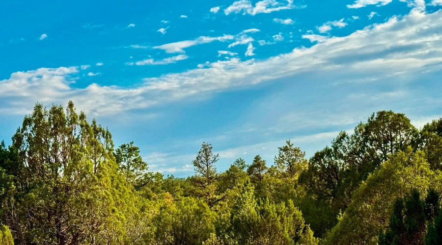 20250723060108652034000000-o