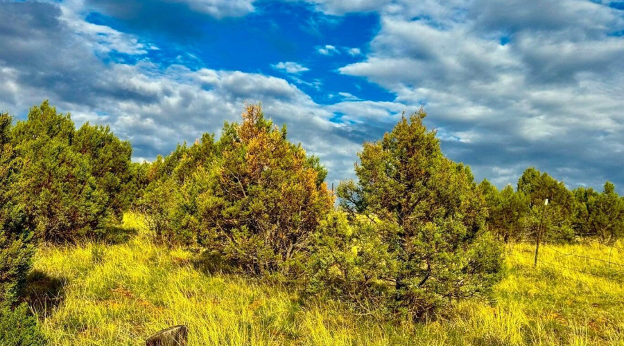 20250723060123577921000000-o