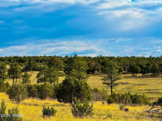TBD Flake Lots N & K 2.54 Acres, Aripine, Arizona 85933, ,Land,For Sale,Flake Lots N & K 2.54 Acres,257180