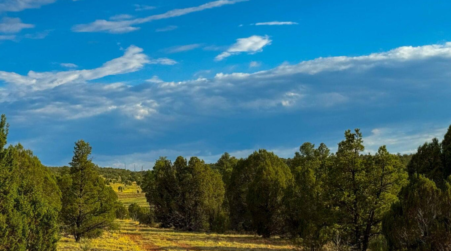 20250723062024933128000000-o