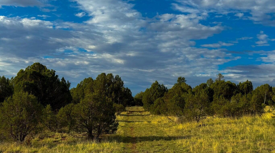 20250723062134826054000000-o