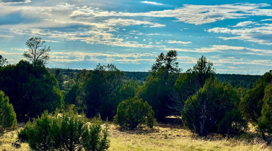 20250723060426165569000000-o