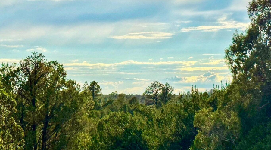 20250723055928641256000000-o