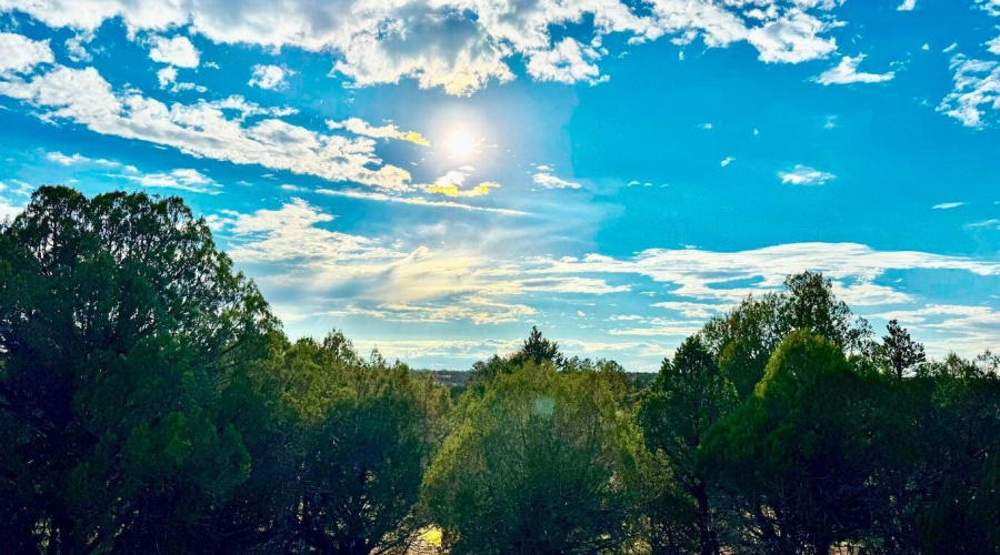 20250723060041300972000000-o