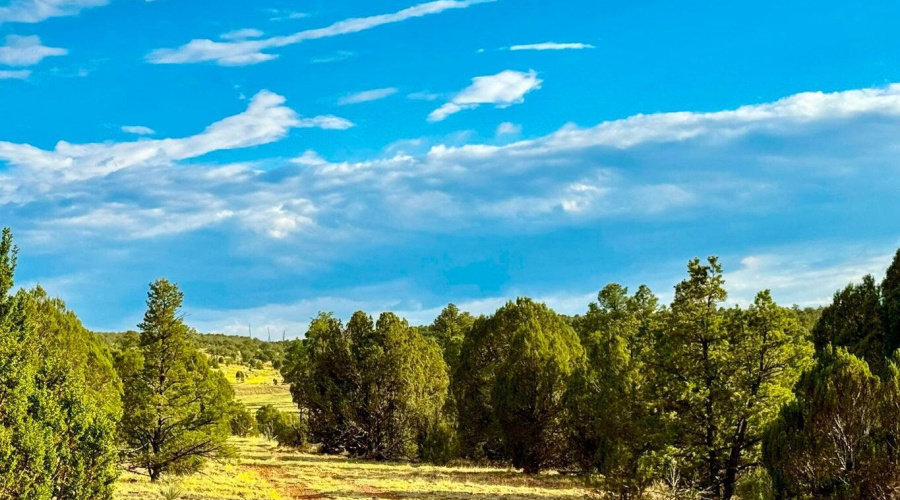 20250723060055619370000000-o