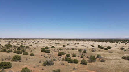1749 Juniper Trail, Heber, Arizona 85928, ,Land,For Sale,Juniper,92639