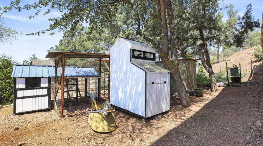 chicken coop 1E0A5559