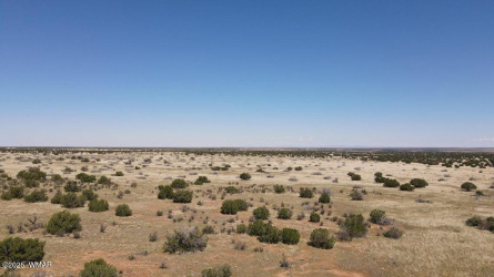 1749 Juniper Trail, Heber, Arizona 85928, ,Land,For Sale,Juniper,257189
