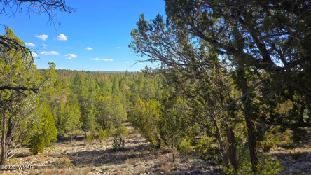 2947 Lookout Lane, Overgaard, Arizona 85933, ,Land,For Sale,Lookout,257186