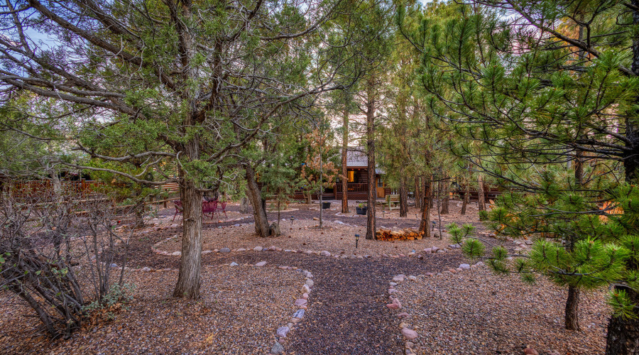 Backyard landscaping