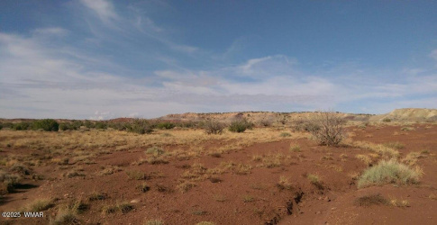 Lot 205 River Springs Ranch, St. Johns, Arizona 85936, ,Land,For Sale,River Springs Ranch,257193