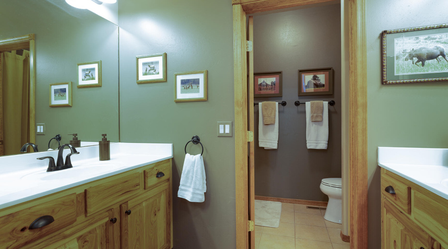 photo(25) 3020 W Lodgepole SL Mickey 072