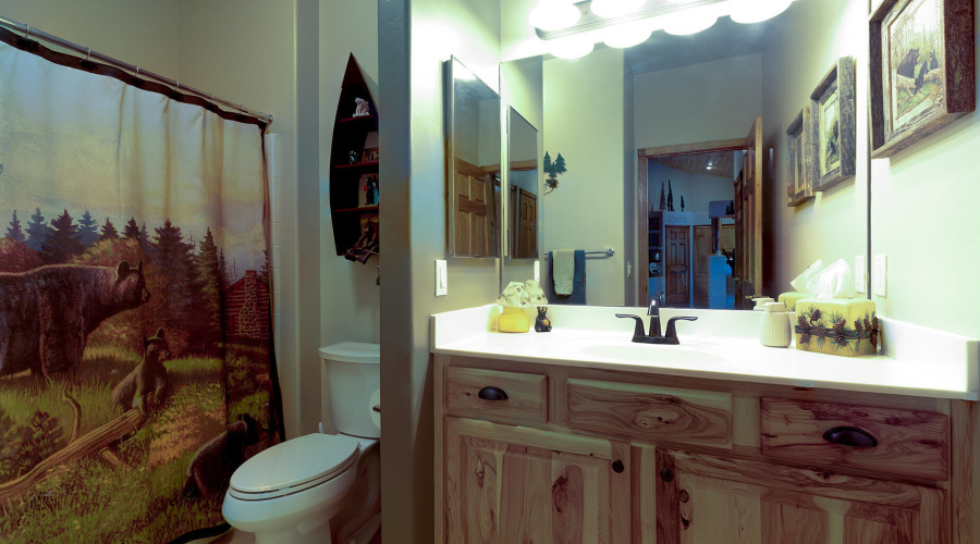 photo(28) 3020 W Lodgepole SL Mickey 072