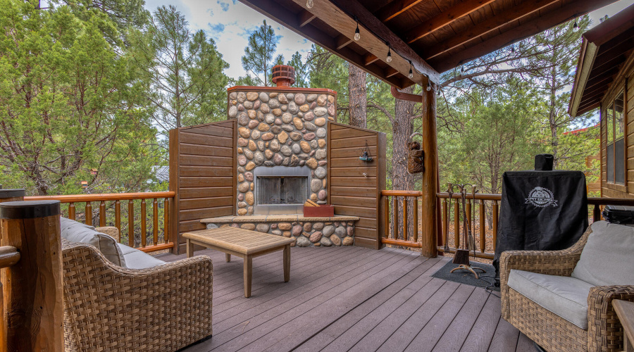 photo(34) 3020 W Lodgepole SL Mickey 072