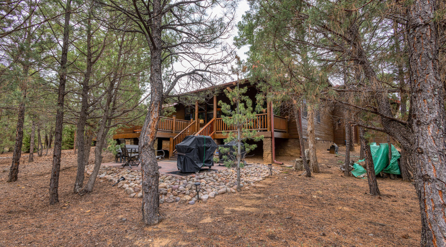 photo(38) 3020 W Lodgepole SL Mickey 072