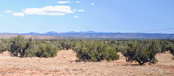 Lot 44 Ranch Of The White Mountains, Concho, Arizona 85924, ,Land,For Sale,Ranch Of The White Mountains,257202