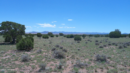 TBD Windsor Valley Ranch Lot 87, Concho Valley, Arizona 85924, ,Land,For Sale,Windsor Valley Ranch Lot 87,257219