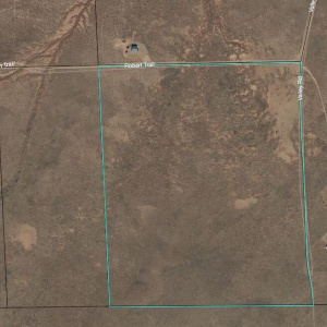 Satellite View