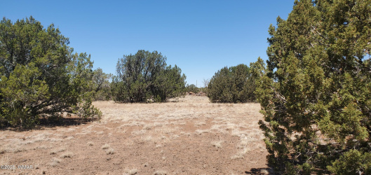 TBD High Plains Road, Show Low, Arizona 85901, ,Land,For Sale,High Plains Road,257210