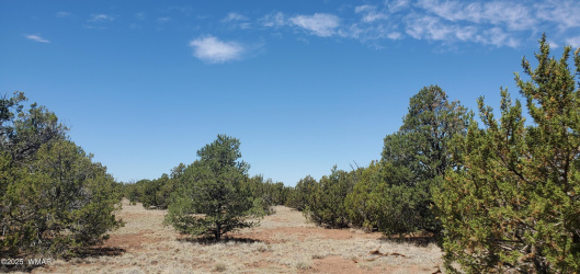 17 County Road 8077, Concho, Arizona 85924, ,Land,For Sale,County Road 8077,257212