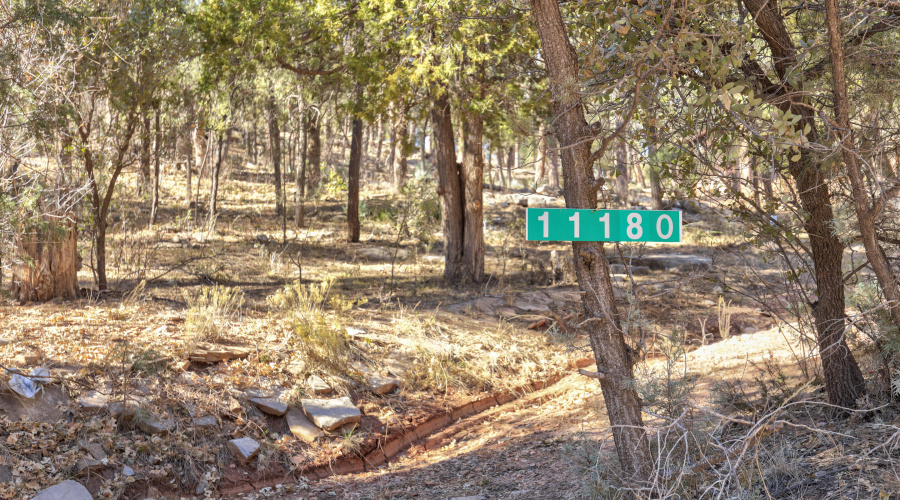 mls-1E0A4470_1_2_3_4_5 copy