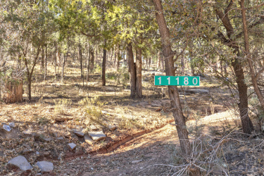 11180 Houston Mesa Road, Payson, Arizona 85541, ,Land,For Sale,Houston Mesa,91482