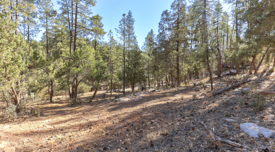 mls-1E0A4487_88_89_90_91_92 copy