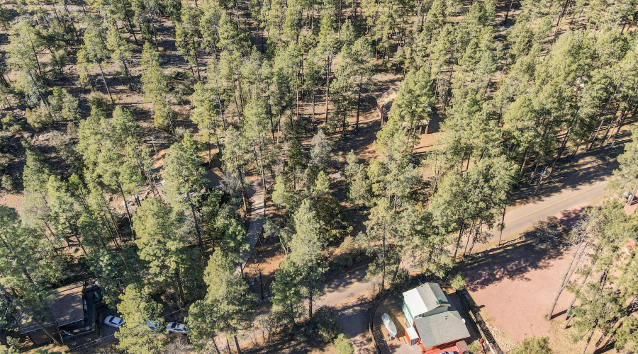 mls-dji_fly_20250110_121710_183_17365422