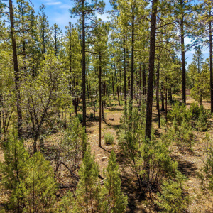 Parcel212-42-069C-Lakeside-AZ-8