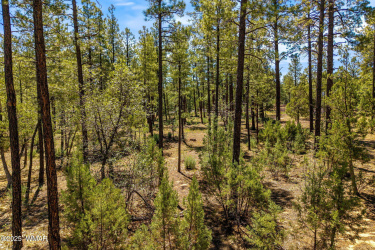 TBD Hart Lake Lane, Lakeside, Arizona 85929, ,Land,For Sale,Hart Lake,257231