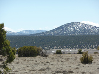 30 Acres Sec 13, T11N, R23E :SE4 SE4, Show Low, Arizona 85901, ,Land,For Sale,Sec 13, T11N, R23E :SE4 SE4,250125