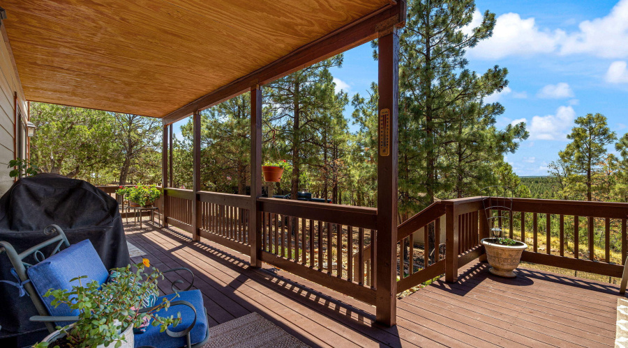 1481LowMountainTrail-Heber-AZ-32