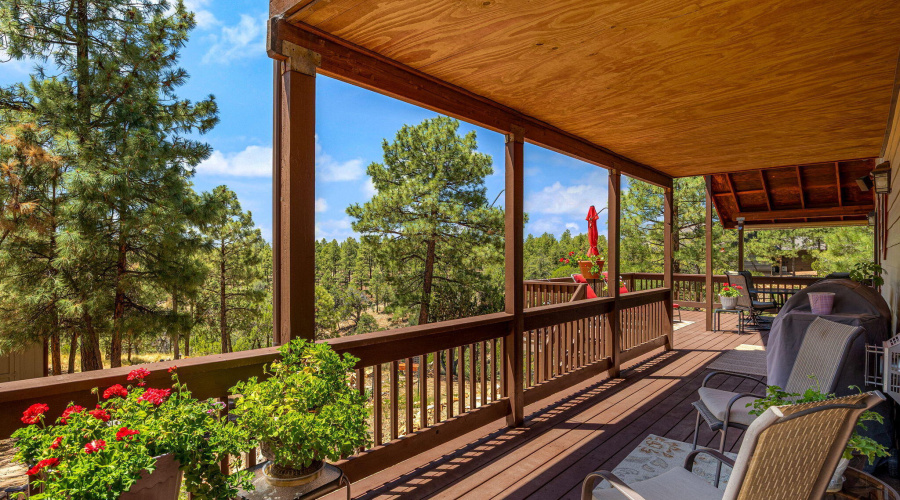1481LowMountainTrail-Heber-AZ-35