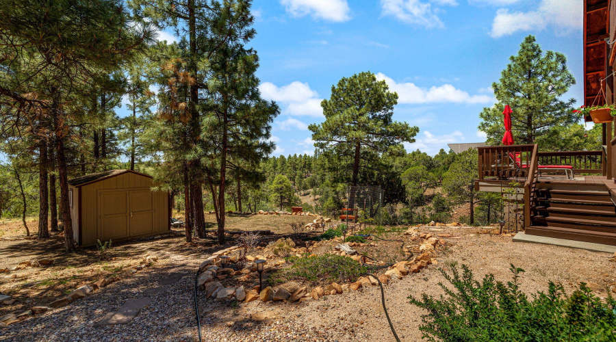 1481LowMountainTrail-Heber-AZ-36