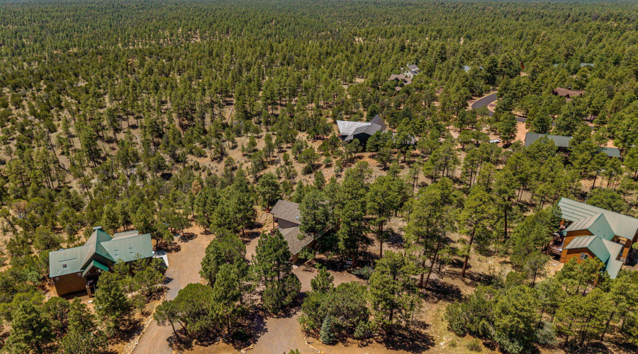 1481LowMountainTrail-Heber-AZ-40