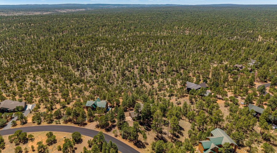 1481LowMountainTrail-Heber-AZ-41