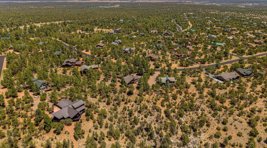 1481LowMountainTrail-Heber-AZ-43