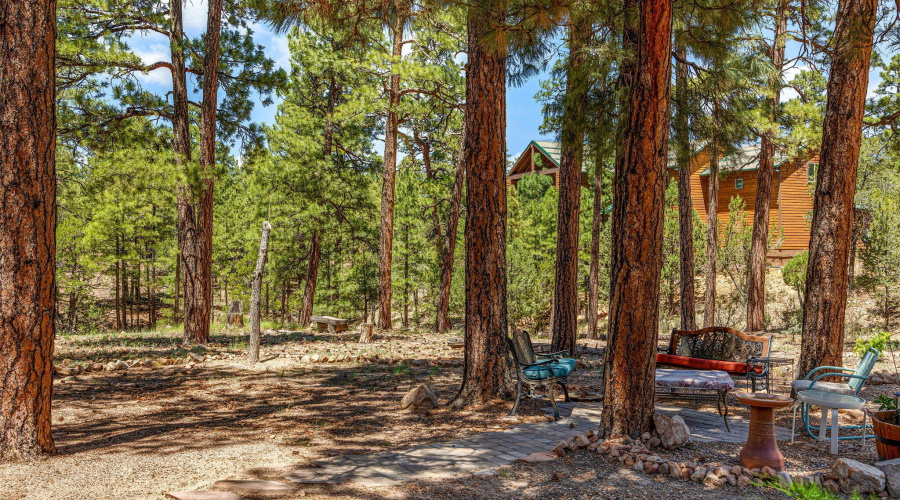 1481LowMountainTrail-Heber-AZ-4