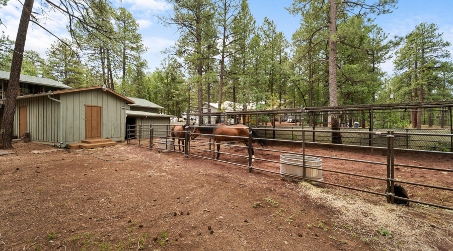 twinflameREmedia-33_(2048)