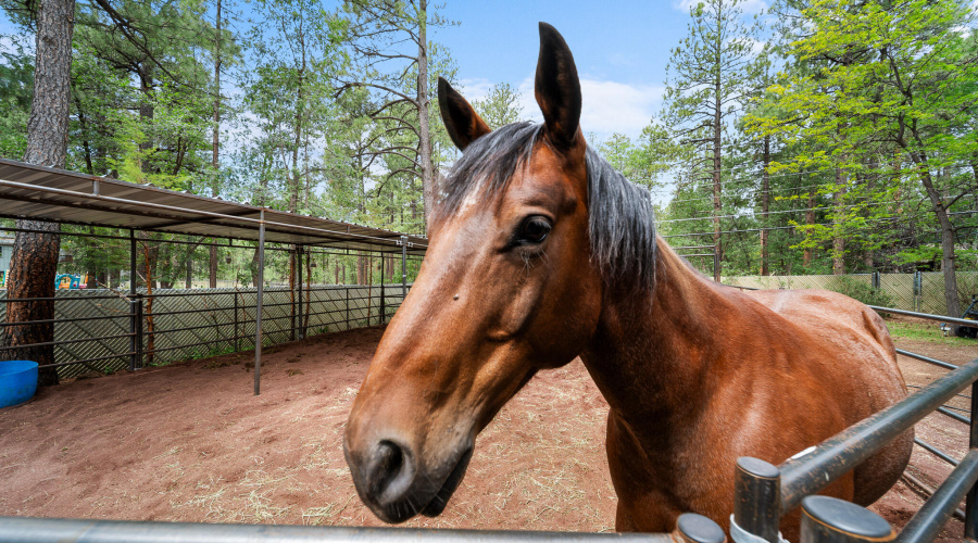 twinflameREmedia-36_(2048)