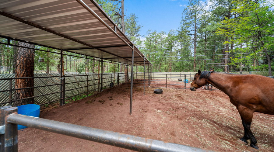 twinflameREmedia-37_(2048)