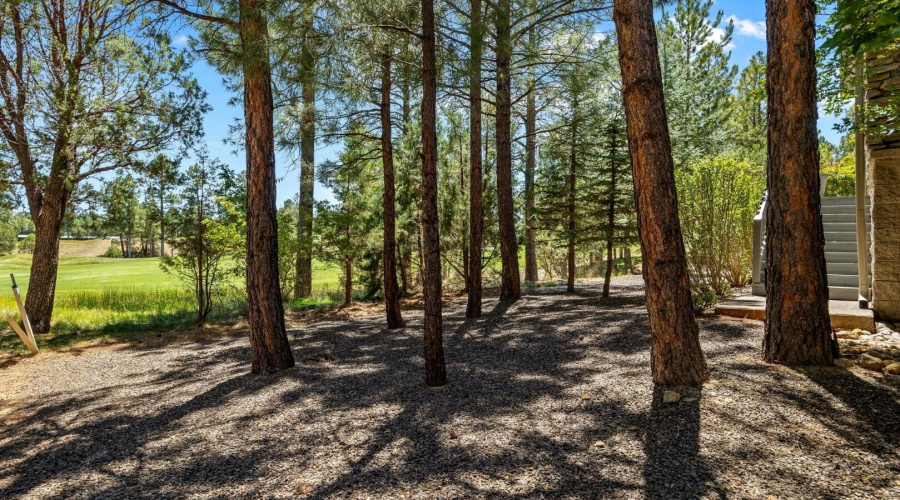 3990SugarPineLoop-ShowLow-AZ-40